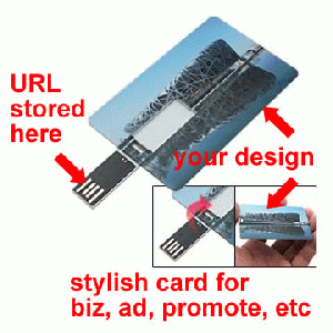 URL autorun USB webkey for business marketing, advertising, name card, site easy remember 